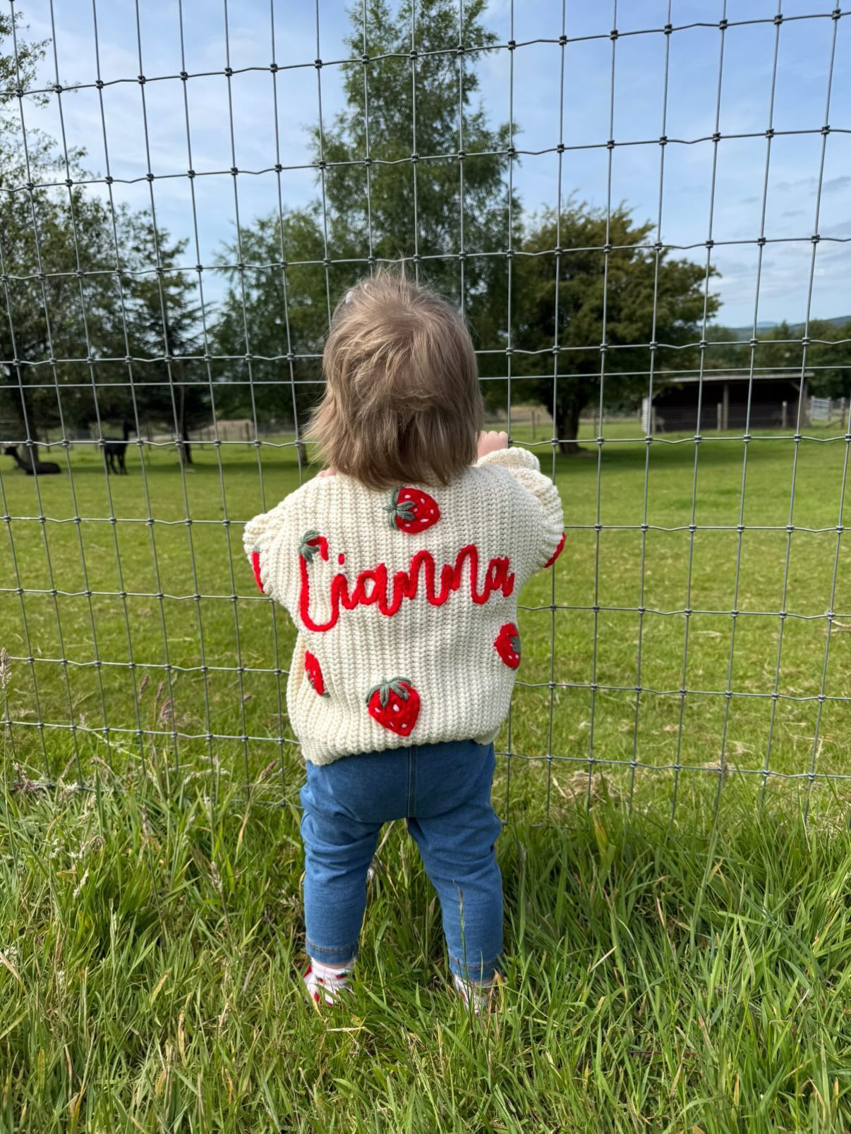 Strawberry cardigan 🍓 0-3 months to 3-4 years